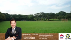 Windsor Park (D20), Terrace #177875652